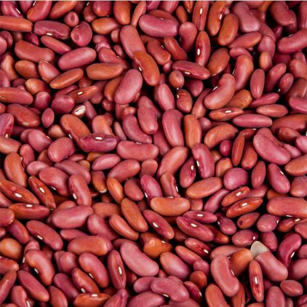 BEANS PER KG