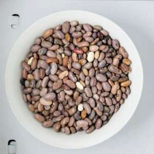 BEANS (MEDA)