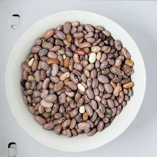 BEANS (MEDA)